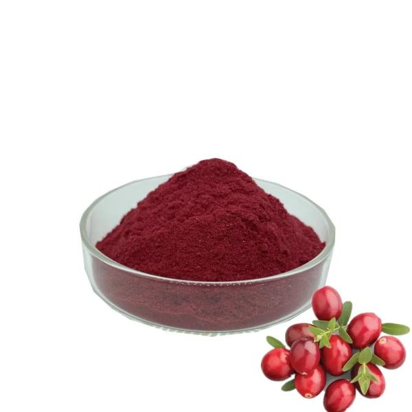Quality HALAL Fruit Cranberry Juice Powder Good Fluidity Easy To Dissolve wholesale