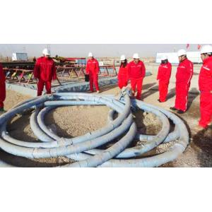 API 7K Rotary Drilling Hose Vibrator Hose Kaili Drilling Equipment Hose