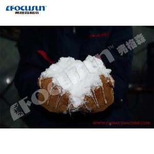 Bitzer Compressor Portable Snow Skiing Ice Maker Container Design for Super