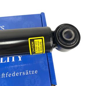 Tesla Model S Air Shock Absorber OEM 1015620-01-E