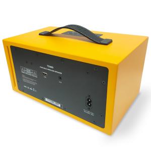 80W Wooden Bluetooth Speaker with TWS and Rechargeable Battery