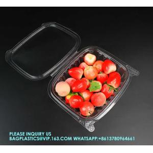 8oz 12oz 16oz 24oz 32oz 48oz Clear Plastic Pet Hinged Clamshell Fruit Salad Box