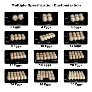 Transparent Plastic Egg Trays Egg Box Free Shipping Plastic Egg Tray with Handle