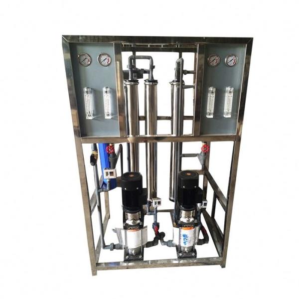 Quality Double Pass Reverse Osmosis Equipment Ro Water Purifier New Technology wholesale