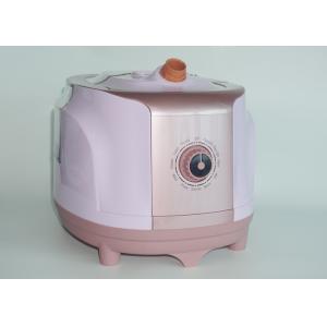 China Laundry Garment Steamer With Stand , Wrinkle Remover Fabric Clothes Steamer on sale