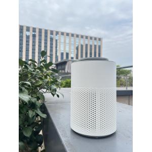 Compact And Portable HEPA Air Purifier For Cars And Small Rooms With Cold Plasma