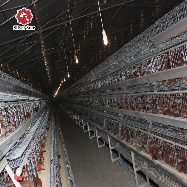 Poultry Farm Battery Chicken Cage Equipment 96 Birds / Set