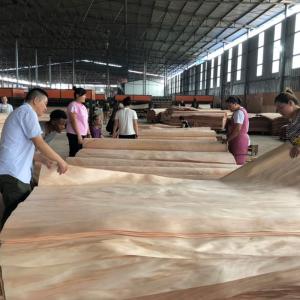 Birch Faced Decoration Natural Wood Veneer Panel Multilayer First Class