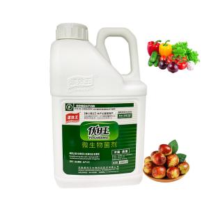 Soil Conditioning Root Microbiological Organic Fertilizer