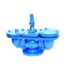 Flanged Air Vent Valve With Isolating Valve EN1092.2 PN10 /16 / 25