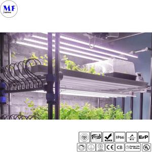 Energy-Efficient IP66 IK08 Waterproof 540W LED Plant Grow Sodium Light For