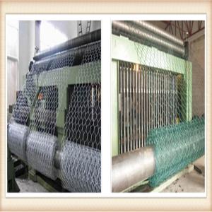 Galvanized Chain Link Fence/Chain Link Wire Mesh Fencing
