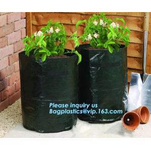 Cheap Nine pockets cheap vegetable grow planter bag,china manufacture riptop waterproof nursery bag,planting potato grow bag for sale