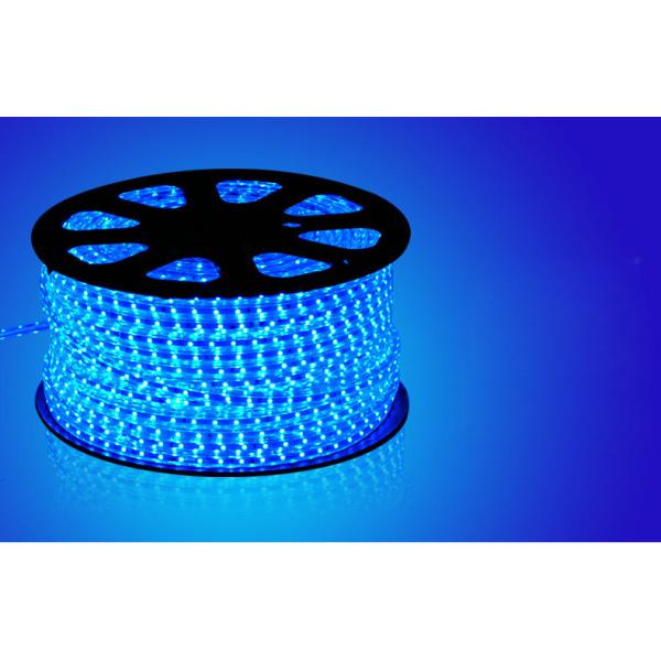 Quality SMD 3528 60LED/M 110V 4.8W/M Blue LED strip light wholesale