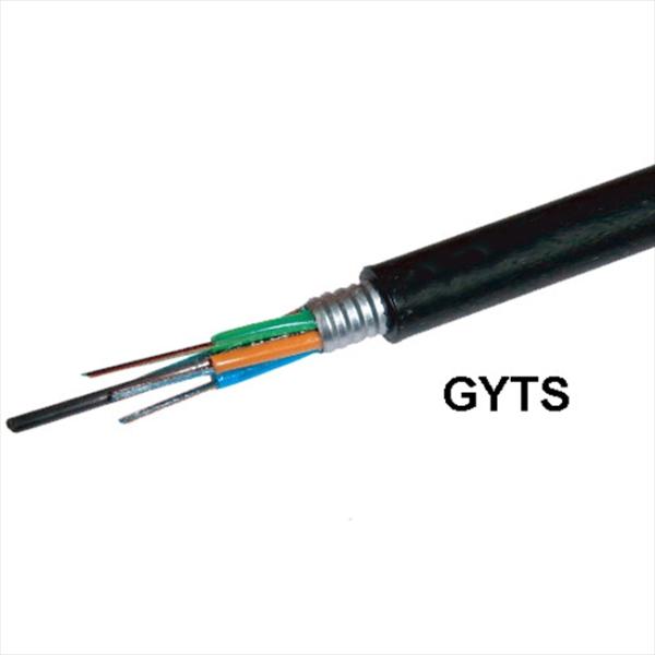 Reliable GYTS Fiber Optic Cable 24 Core Armored Design with Steel Tape and PE