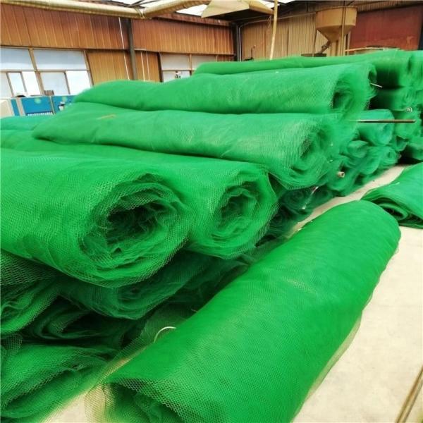 50m Normal Length CE/ISO9001/ISO14001 Certified 3d Geomat Plastic Mesh for