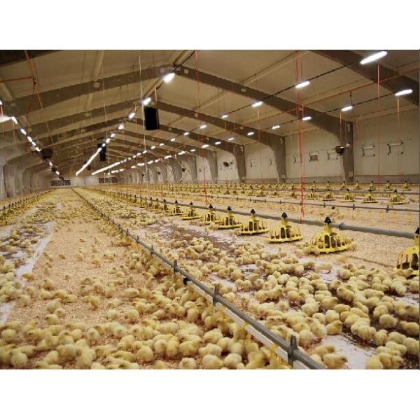 LED Vapor Tight Garage Light Fixture Dimmable IP66 LED Tri-proof Light with CRI Ra 85