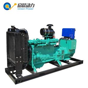 Electric Gas Generator Biogas Generator