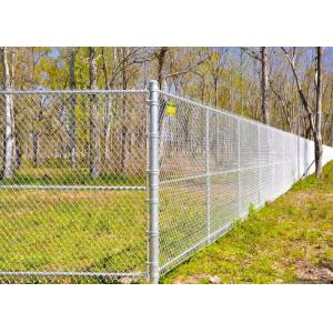 Multi PVC Color Driveway Chain Link Fencing With Steel Iron Wire Materials