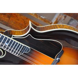 Handmade custom advanced 8 strings QT-F5 mandolin electric guitar with ebony