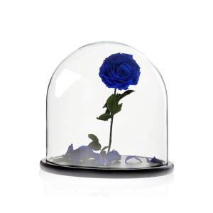 China Borosilicate Large Glass Dome With Base , 20cm Height Glass Bell Cloche on sale