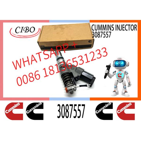 Diesel Engine Fuel Injector 3411752 3084589 3087557 3411752 3411761 4307547 3411752 For CUM-MINS ISM QSM M11 Engine