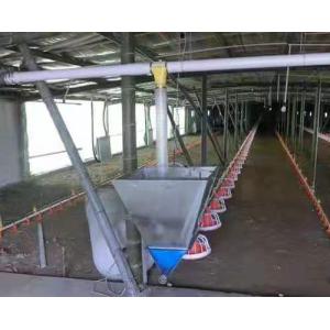 1.5L 3L Plastic Automatic Water Feeder For Chickens