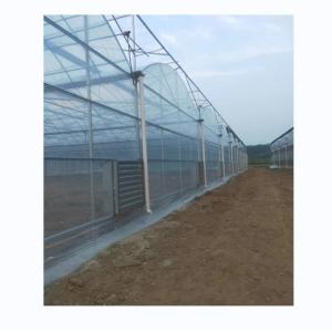 China Shine Tech Multi Span Plastic Film Greenhouse For Tomato And Strawberry Cultivation on sale