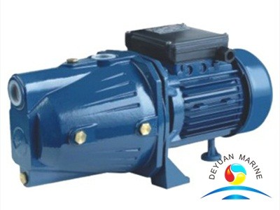 Quality Portable Marine Water Pump Selfpriming Jet For Cleaning Water wholesale