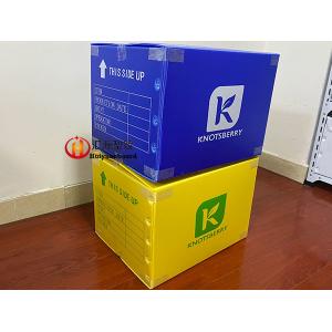 Heavy Duty Printable Collapsible Corrugated Plastic Boxes