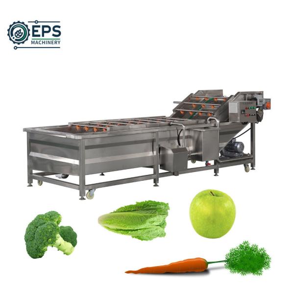 304 Stainless Steel Industrial Usage Automatic Vegetable and Fruit Processing