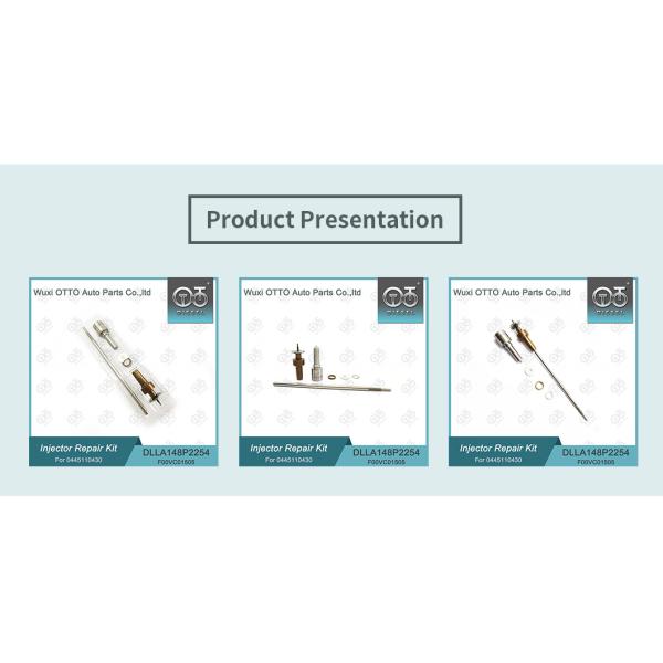 0445110430 Bosch Injector Repair Kit