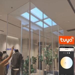 Multiscene 220V Fake Skylight Light , No Flicker Artificial Sky Light