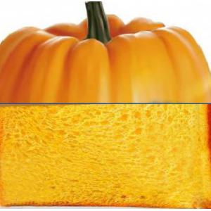 Cheap Direct Wholesale Pumpkin Toast with Retail Bulk Package for sale
