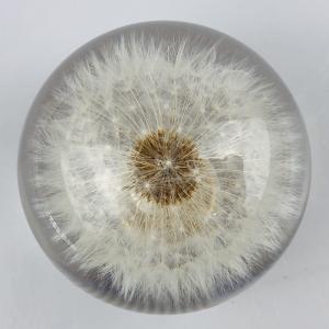 70mm Crystal Resin Shift Knob Real Flowers Dandelion Shift Knob