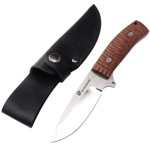 Lizard Gadder Vehicle Camping Save Oneself Explore Hunting