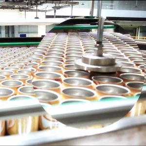 Fully Automatic Bottle/Cans Separation System