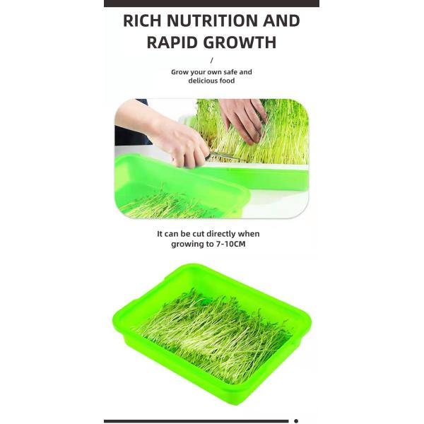 Multifunctional Customized Plastic Seed Sprout Tray Double Layer