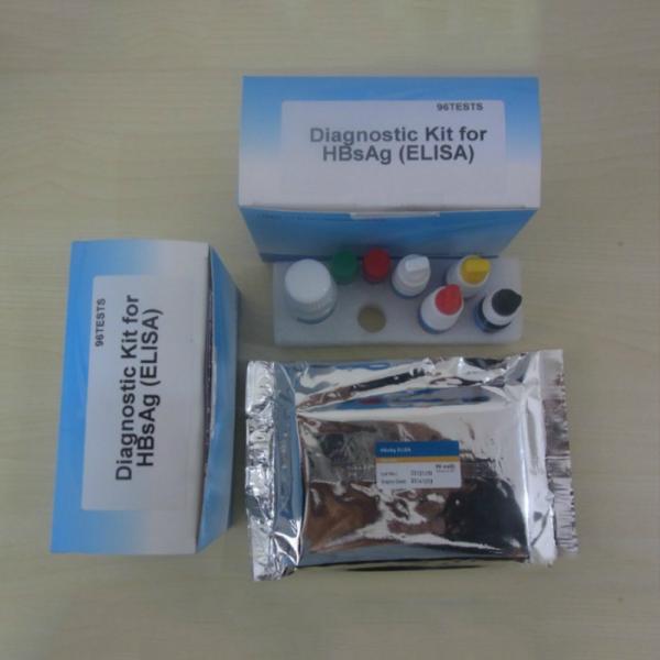 Quality One Step 96pcs Hepatitis B Rapid Test Kit Medical Diagnostic wholesale