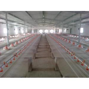 Automatic feeding pan system poultry feed pan cheap modern style