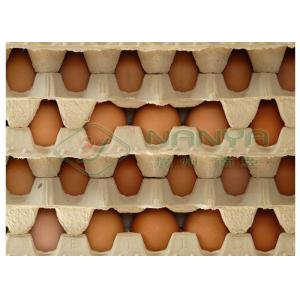 Hanging Transfer Pulp Molding Dryer / Egg Tray Drying Production Line