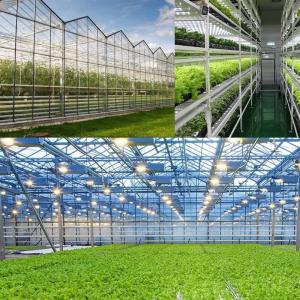 120V-277V / 120V-347V IP66 IK10 LED Vapor Tight Fixture for Commercial and