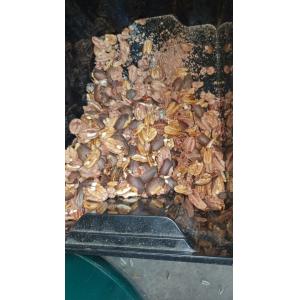 7T/H Nuts Color Sorter , 7 Chutes 448 Channels Pecan Sorting Equipment