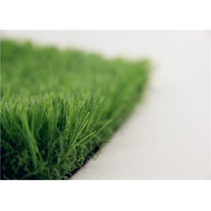 Healthy Wall Artificial Grass For Terrace Garden , False Garden Turf