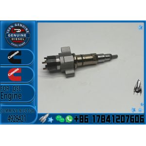 High Quality Diesel Engine Spare Parts QSL ISC Series Fuel Injector 4928421