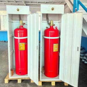 Elide Fire FM200 Gas Compact 100L FM200 Fire Suppression System With Fire