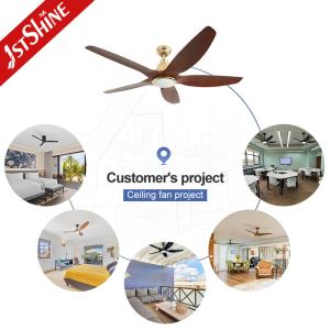 Five ABS Blades LED Ceiling Fan for Energy Saving and Lighting Solutions Service