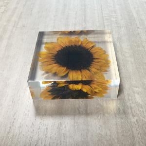 transparent cubic shaped resin paper weight with real dry flowers for home and