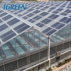 China Solar Gray Polycarbonate Sheet Greenhouse For Aquaponics Farming System on sale