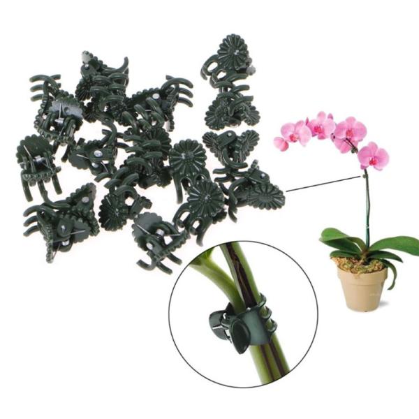 Vine Support 1cm Width Plastic Clamp For Butterfly Orchid Clips